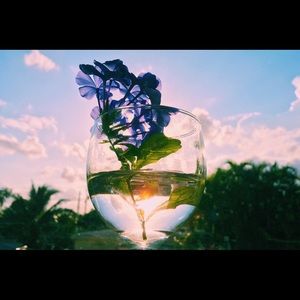 Meet your Posher, Rachell